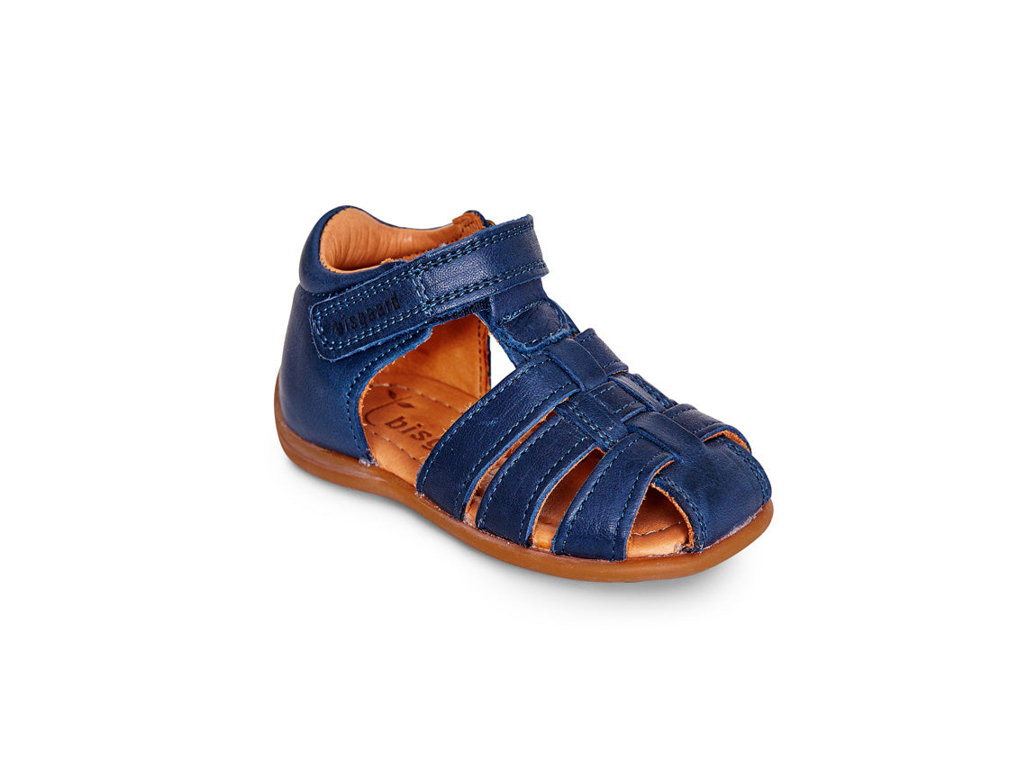 71206 carly