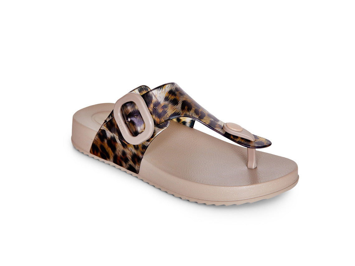 S10362 Leo FlipFlop