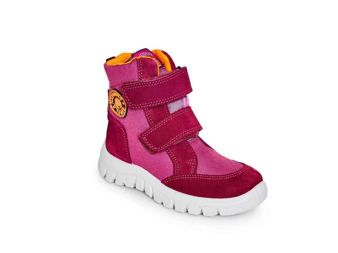 Schneeschuh Geminae